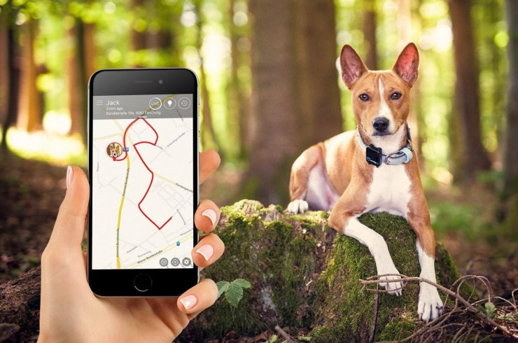 GPS трекер для собак